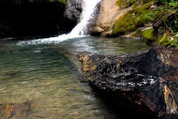 Fototapeta premium waterfall in the forest and fallen tree