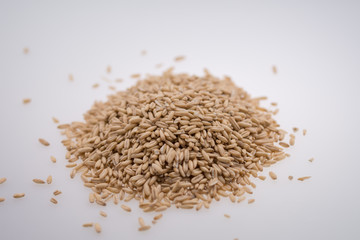 Oat Grains. Pile of grains, isolated white background