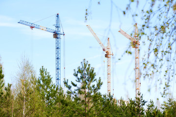 three tower cranes at a construction site