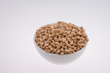 Oat Grains. Pile of grains, isolated white background