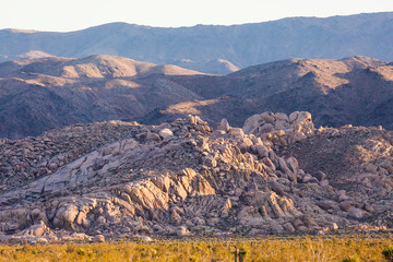 Landscape view of Joshua Tree National Park in California.