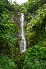 Fototapeta na wymiar Road to Hana waterfall landscape in Maui, Hawaii