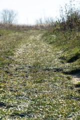 Green meadow during sunny and cloudy afternoon. Slovakia