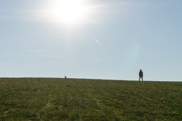 Fototapeta premium People walking a dog on meadow. Slovakia