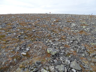 Taivaskero im Pallastunturi (Finland) - Siehr öde aus, ist aber ein wirklich empfehlenswertes...
