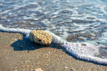 rock at the wave