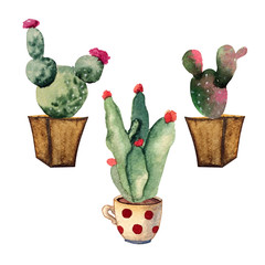 set of watercolor cacti