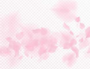 Pink sakura flower falling petals vector transparent background. 3D romantic valentines day illustration. Spring tender light backdrop. Overlay tenderness romance design. © iaroslavka
