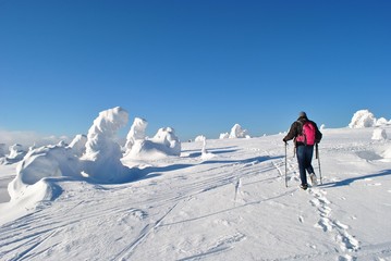Fototapeta na wymiar Turysta ana zimowym szlaku