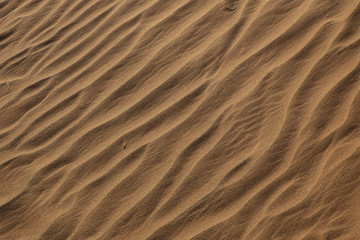 Textura de arena en el desierto