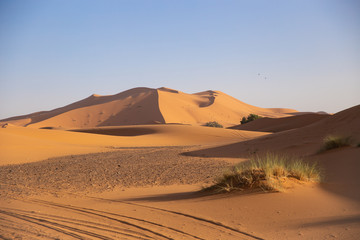 Fototapeta na wymiar Vista panorámica de unas dunas en el desierto del Sahara en Marruecos