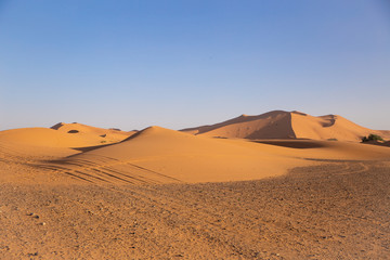 Fototapeta na wymiar Dunas del desierto del Sahara en Marruecos