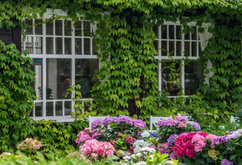 Fototapeta na wymiar Sopot, Poland: Green window with colorful flowers