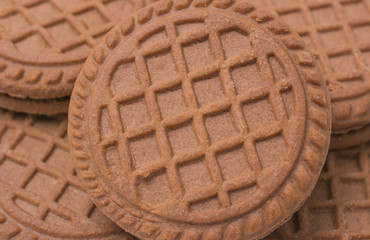 chocolate chip cookies on a white background