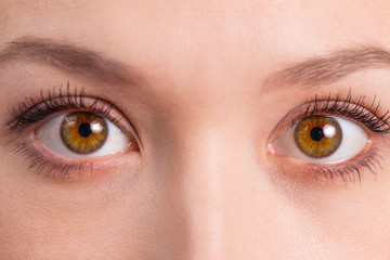 Obraz premium Brązowe oczy z bliska