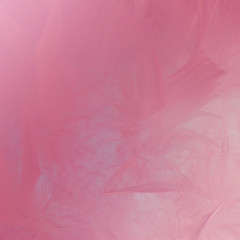 Fototapeta na wymiar Abstract pink tone feathers background. Fluffy feather fashion design vintage bohemian style pastel texture.