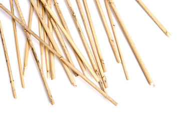Dried reeds isolated on a white background.