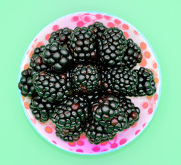 Frische Brombeeren