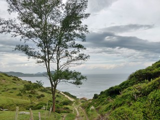 Praia do Rosa - Santa Catarina - Brazil