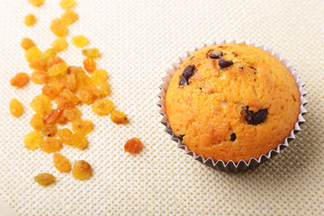 Assorted with Delicious homemade cupcakes with raisins and chocolate isolated on textile background. Muffins. Top view.