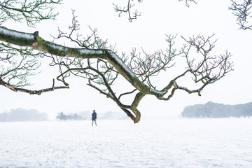 Fototapeta na wymiar One person walking in a heavy snowy day.