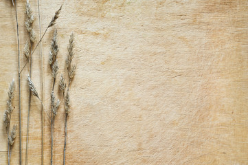 Close-up of dried grasses on a wooden surface.