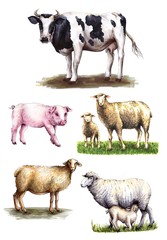selection of farm animals on white background
