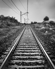 rail train in black and white