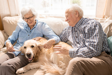 Portrait of happy senior couple with dog sitting on couch enjoying family weekend at home in...