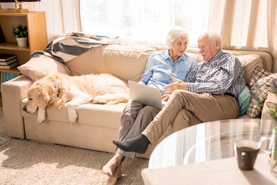 High angle portrait of modern senior couple using digital tablet sitting on couch at home in sunlight copy space