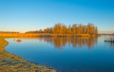 Naklejka na ściany i meble Frozen lake in the light of sunrise below a blue sky in winter