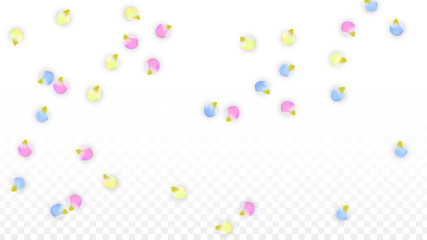Vector Realistic Colorful Petals Falling on Transparent Background.  Spring Romantic Flowers Illustration. Flying Petals. Sakura Spa Design. Blossom Confetti. Design Elements for Wedding Decoration.