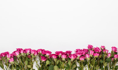 Flowers composition. Frame made of red rose on white wooden background. Flat lay, top view, copy space.