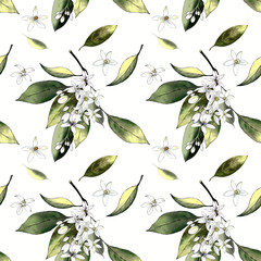 Seamless pattern with leaves and flowers on white background. Illustration drawn by markers