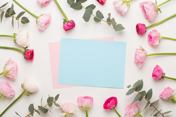 Naklejka na ściany i meble Beautiful colored ranunculus flowers on a white background.Spring greeting card.
