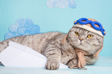 Naklejka premium Lying cute cat in a pilot's hat with glasses and a scarf, with an airplane. Funny cat
