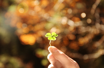 Woman holding green clover in autumn forest