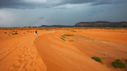 Coral Pink Sand Dunes State Park