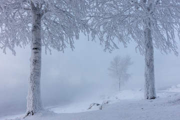 Severe frost in Siberia
