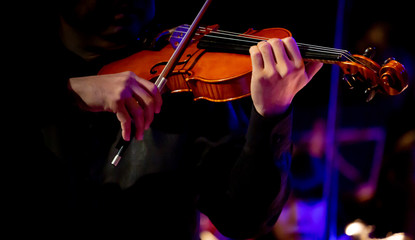 Fototapeta premium Musicians are playing the violin.