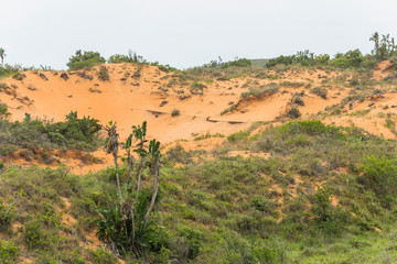 Red sand dunes in St. Lucia wetlands park in South Africa