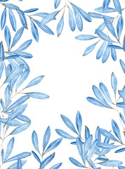 blue olive leaves on white background