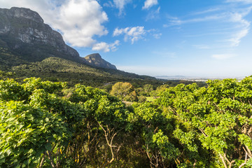 Fototapeta na wymiar Landscape around Kirstenbosch botanical Garden, Cape Town
