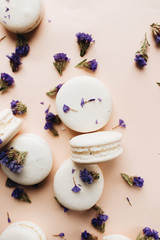 Composition of delicious macaroons and purple flowers 