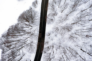 Aerial view of a road surrounded by pine trees forest and white snow. National Park of Abruzzo,...