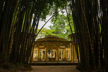 Fototapeta premium Parque da Água Branca - São Paulo, Brazil