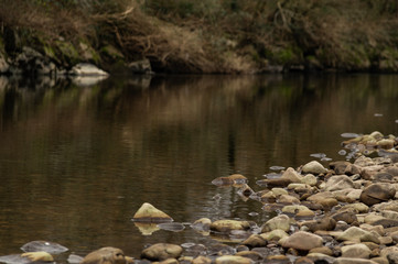 Background with river and stones during autumn / Photo of a river with stones out of focus