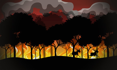 Silhouette wildfire disaster landscape