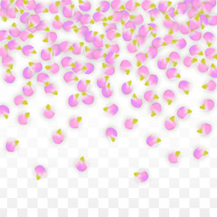 Vector Realistic Pink Petals Falling on Transparent Background.  Spring Romantic Flowers Illustration. Flying Petals. Sakura Spa Design. Blossom Confetti.