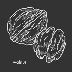 Healthy delicious walnut in hard shell and peeled.